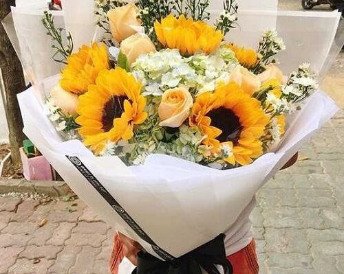 [ BẠN CÓ BIẾT] Những loài hoa nên tặng vào ngày Nhà báo Việt Nam